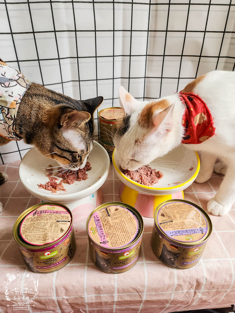 德國貓咪主食罐[葛蕾特交響樂主食貓罐評價]添加石榴的營養保健聖品!高蛋白低碳水的貓咪主食罐推薦！