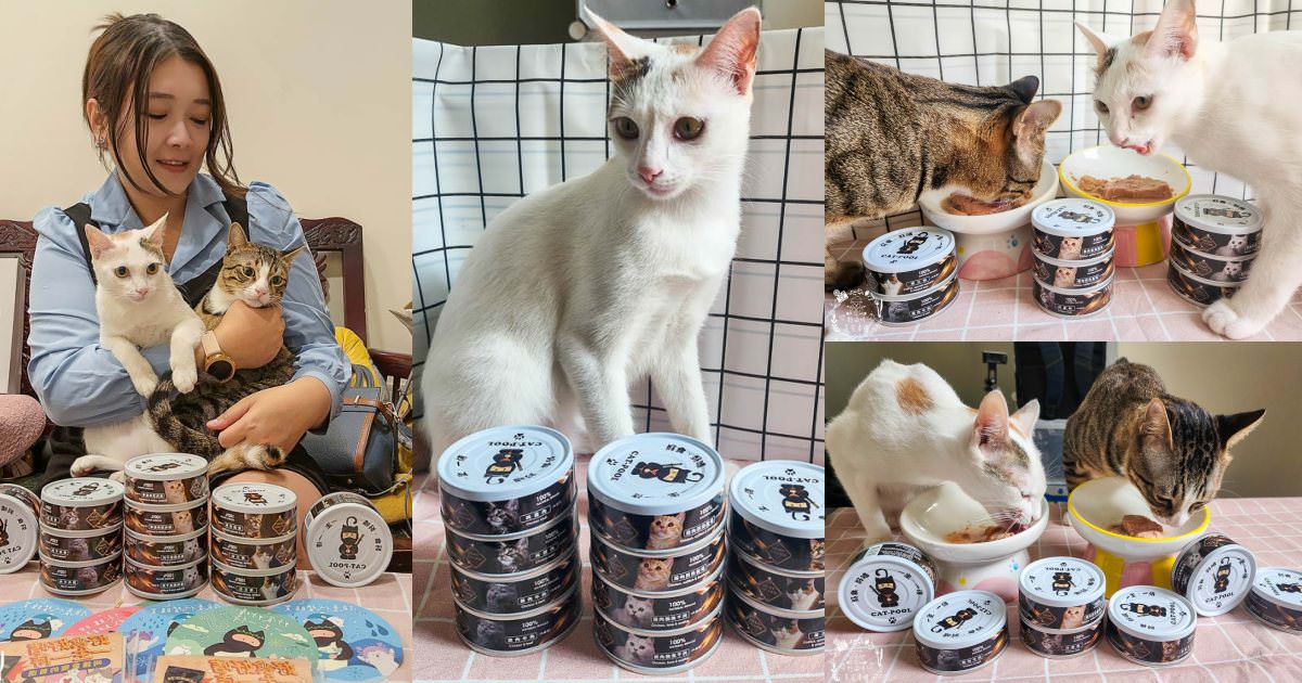 貓咪低磷罐頭推薦[貓侍Catpool升級版低敏食材天然主食罐]符合AAFCO營養標準且無人工膠類、不含K3及防腐劑