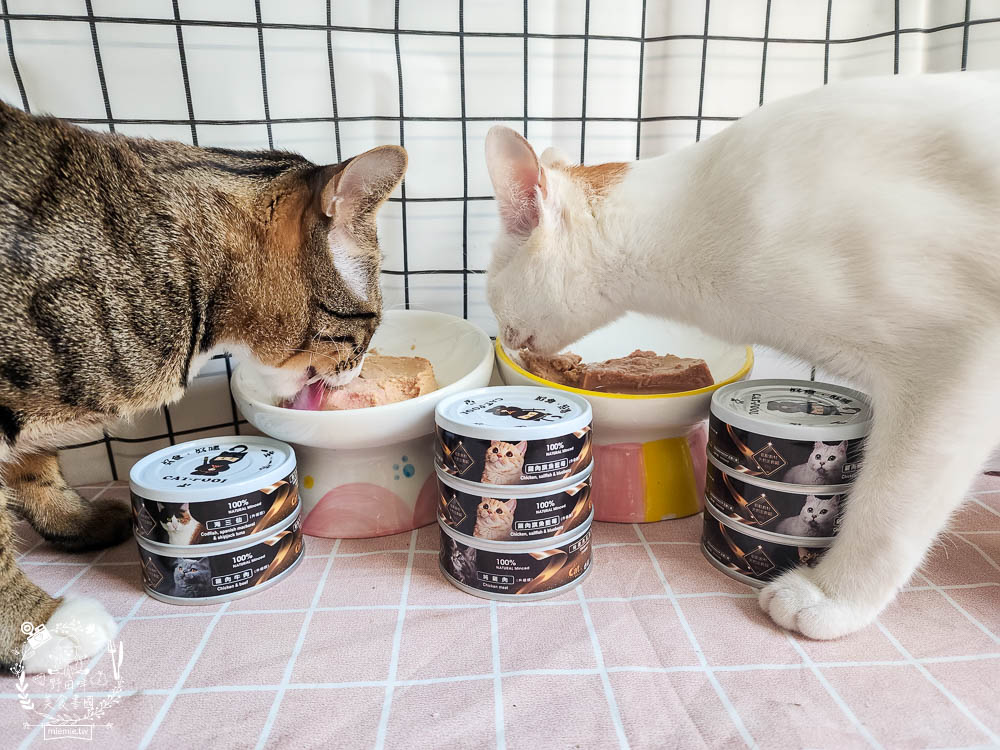 貓咪低磷罐頭推薦[貓侍Catpool升級版低敏食材天然主食罐]符合AAFCO營養標準且無人工膠類、不含K3及防腐劑
