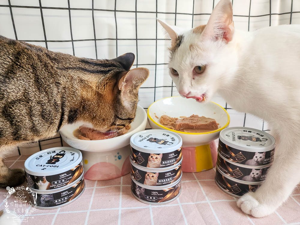貓咪低磷罐頭推薦[貓侍Catpool升級版低敏食材天然主食罐]符合AAFCO營養標準且無人工膠類、不含K3及防腐劑