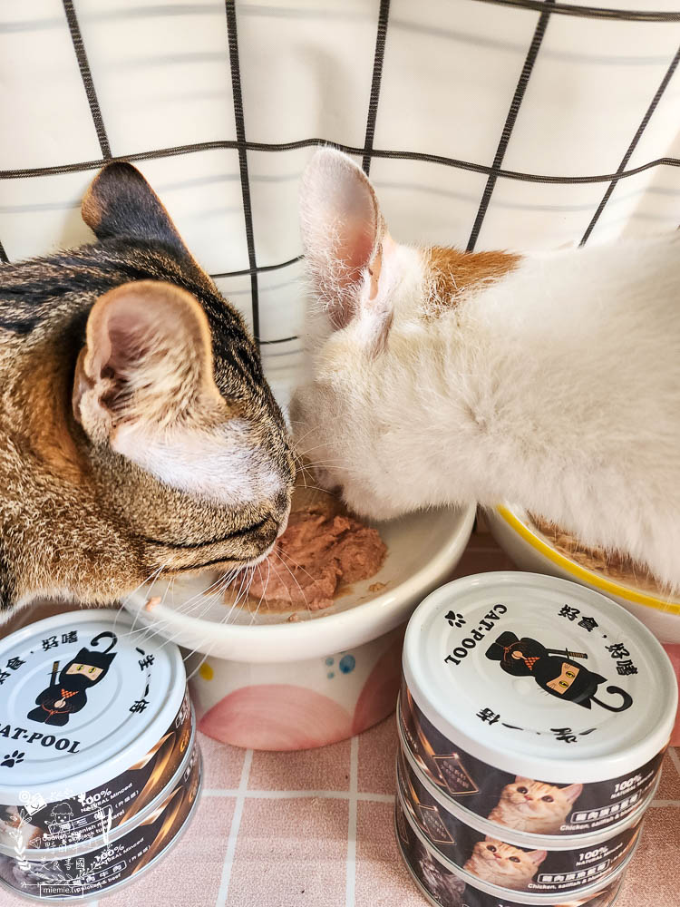 貓咪低磷罐頭推薦[貓侍Catpool升級版低敏食材天然主食罐]符合AAFCO營養標準且無人工膠類、不含K3及防腐劑