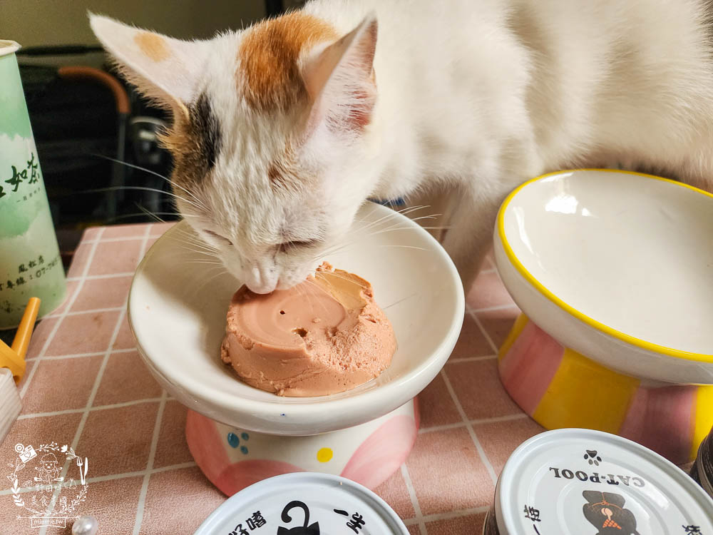 貓咪低磷罐頭推薦[貓侍Catpool升級版低敏食材天然主食罐]符合AAFCO營養標準且無人工膠類、不含K3及防腐劑