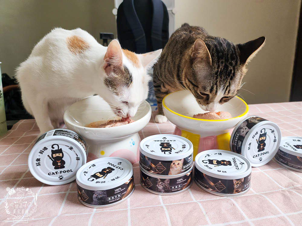 貓咪低磷罐頭推薦[貓侍Catpool升級版低敏食材天然主食罐]符合AAFCO營養標準且無人工膠類、不含K3及防腐劑