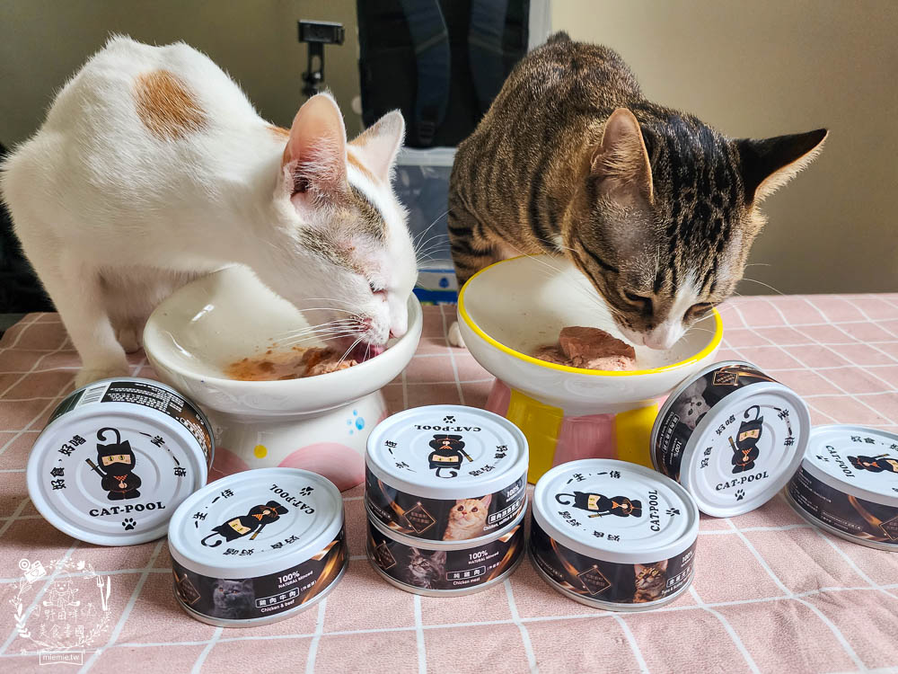 貓咪低磷罐頭推薦[貓侍Catpool升級版低敏食材天然主食罐]符合AAFCO營養標準且無人工膠類、不含K3及防腐劑