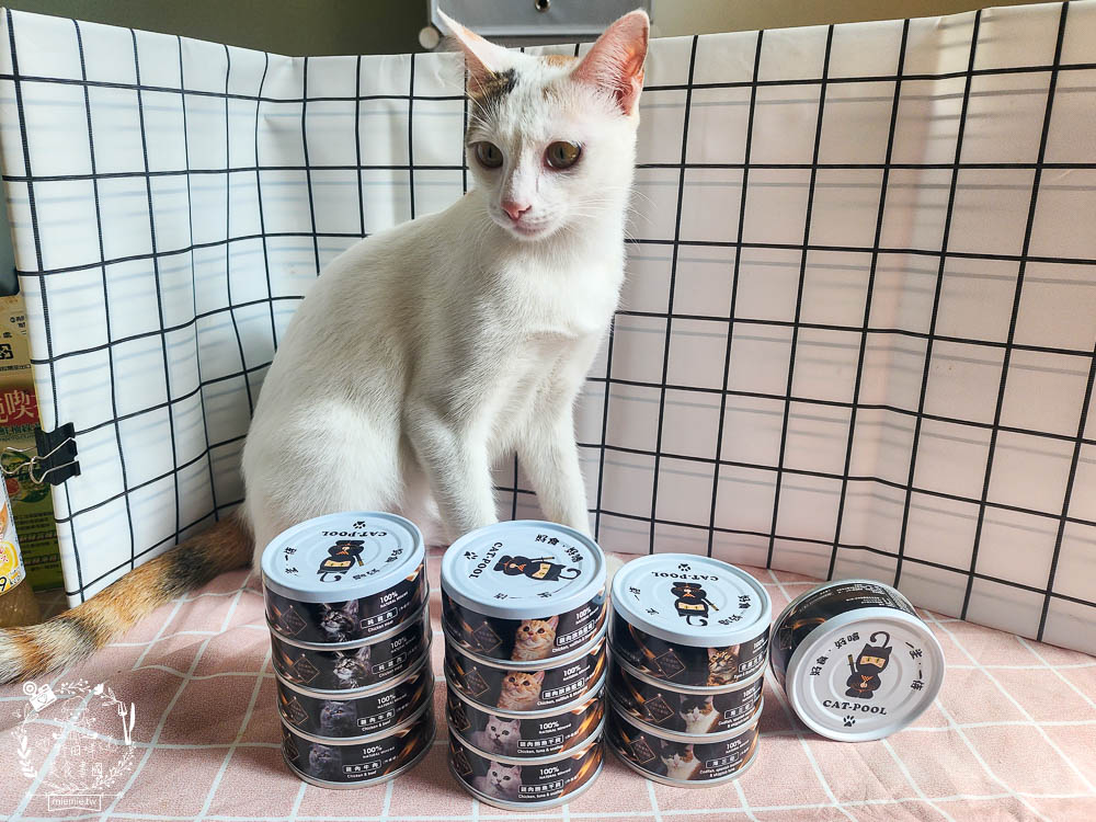貓咪低磷罐頭推薦[貓侍Catpool升級版低敏食材天然主食罐]符合AAFCO營養標準且無人工膠類、不含K3及防腐劑