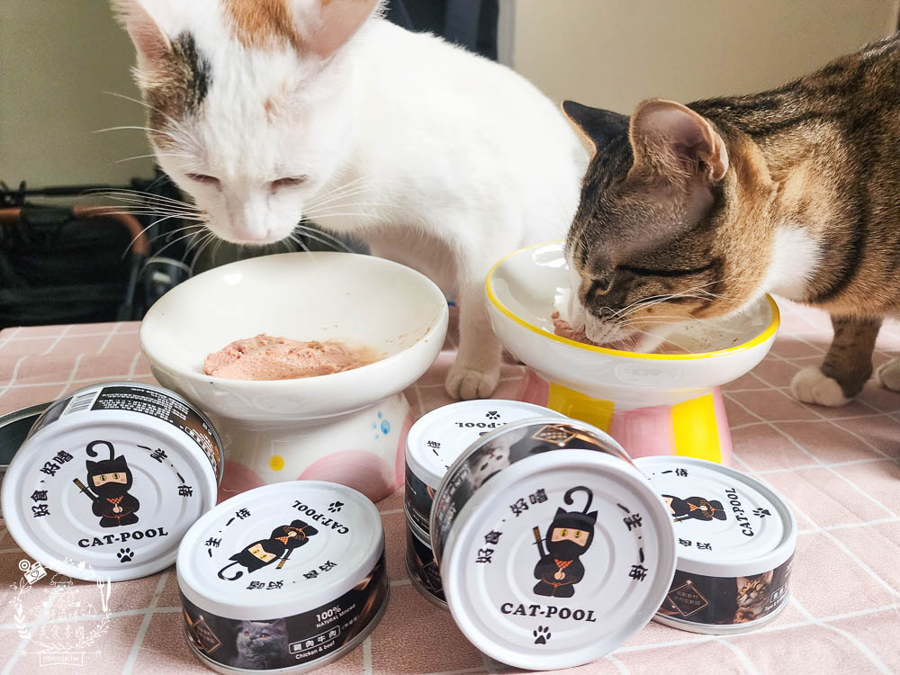 貓咪低磷罐頭推薦[貓侍Catpool升級版低敏食材天然主食罐]符合AAFCO營養標準且無人工膠類、不含K3及防腐劑