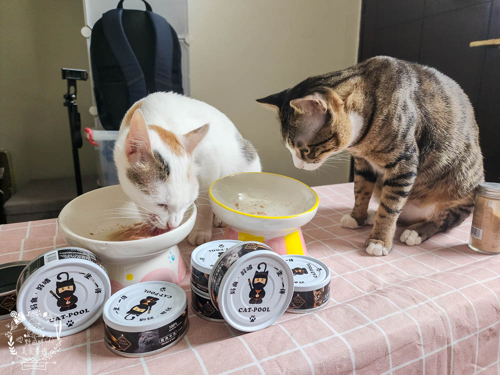 貓咪低磷罐頭推薦[貓侍Catpool升級版低敏食材天然主食罐]符合AAFCO營養標準且無人工膠類、不含K3及防腐劑