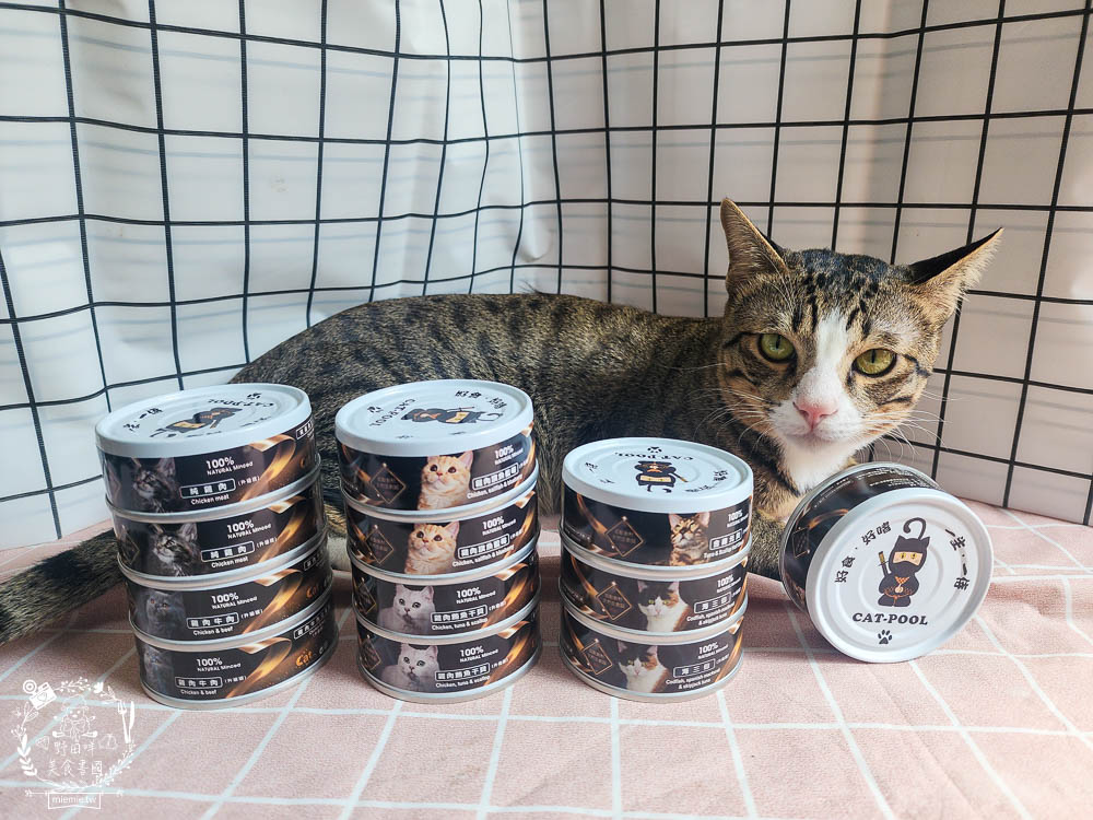 貓咪低磷罐頭推薦[貓侍Catpool升級版低敏食材天然主食罐]符合AAFCO營養標準且無人工膠類、不含K3及防腐劑
