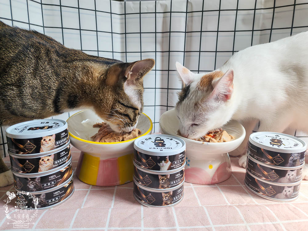 貓咪低磷罐頭推薦[貓侍Catpool升級版低敏食材天然主食罐]符合AAFCO營養標準且無人工膠類、不含K3及防腐劑