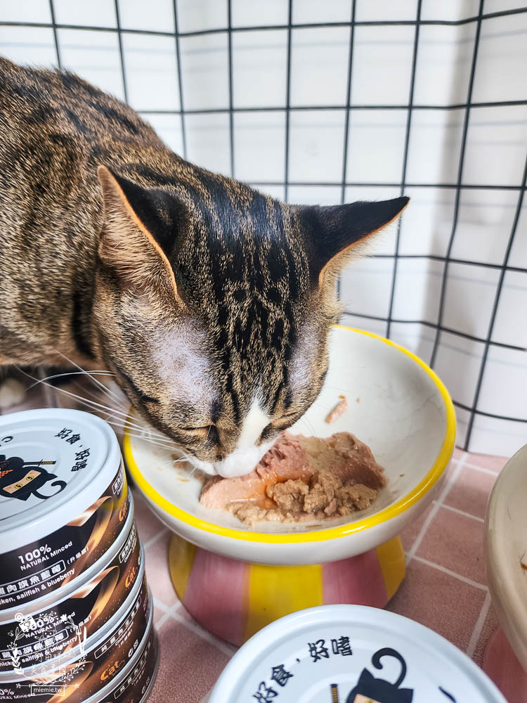 貓咪低磷罐頭推薦[貓侍Catpool升級版低敏食材天然主食罐]符合AAFCO營養標準且無人工膠類、不含K3及防腐劑