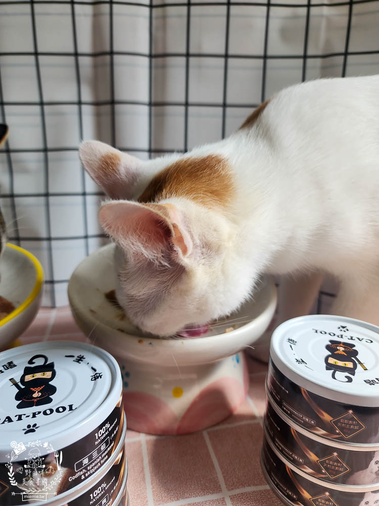 貓咪低磷罐頭推薦[貓侍Catpool升級版低敏食材天然主食罐]符合AAFCO營養標準且無人工膠類、不含K3及防腐劑