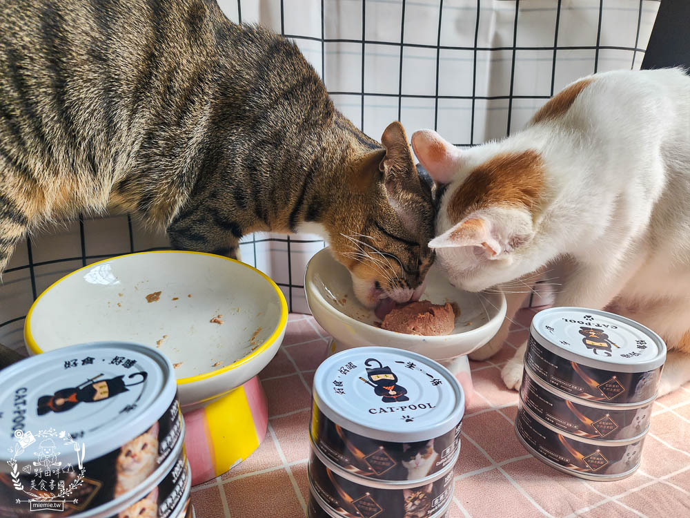 貓咪低磷罐頭推薦[貓侍Catpool升級版低敏食材天然主食罐]符合AAFCO營養標準且無人工膠類、不含K3及防腐劑