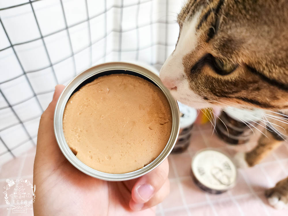 貓咪低磷罐頭推薦[貓侍Catpool升級版低敏食材天然主食罐]符合AAFCO營養標準且無人工膠類、不含K3及防腐劑