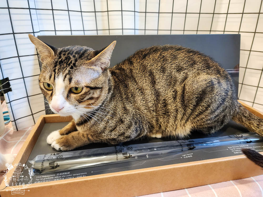 BenQ ScreenBar螢幕智能掛燈|榮獲 iF 國際大獎!獨家非對稱光型有效避免螢幕反光!無藍光危害獲得歐盟雙認證!