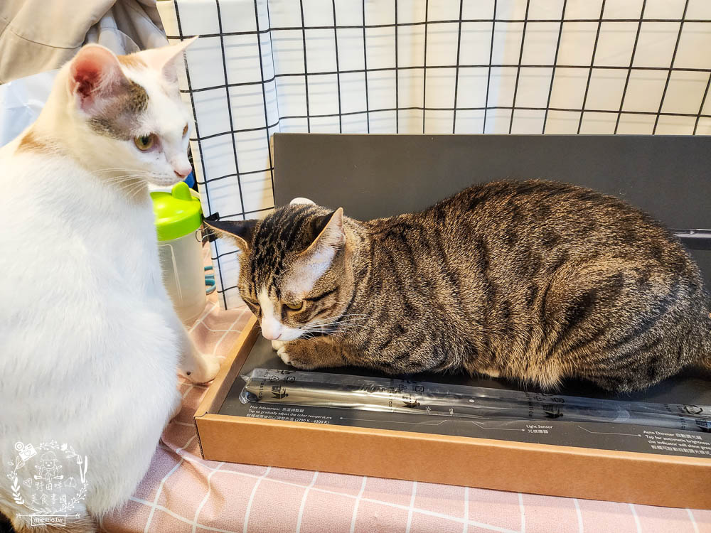 BenQ ScreenBar螢幕智能掛燈|榮獲 iF 國際大獎!獨家非對稱光型有效避免螢幕反光!無藍光危害獲得歐盟雙認證!