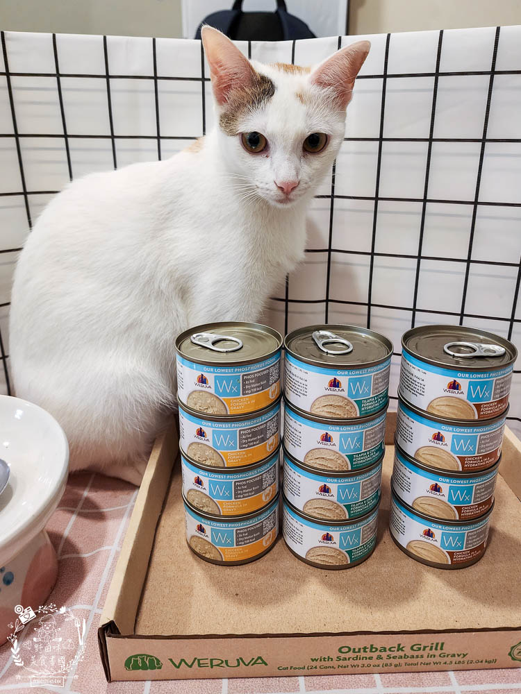 WERUVA唯美味[Wx超低磷貓罐]腎貓罐頭推薦!53mg/100大卡磷含量AAFCO最低標準減少20%