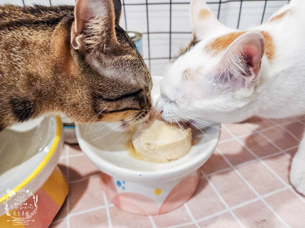 WERUVA唯美味[Wx超低磷貓罐]腎貓罐頭推薦!53mg/100大卡磷含量AAFCO最低標準減少20%