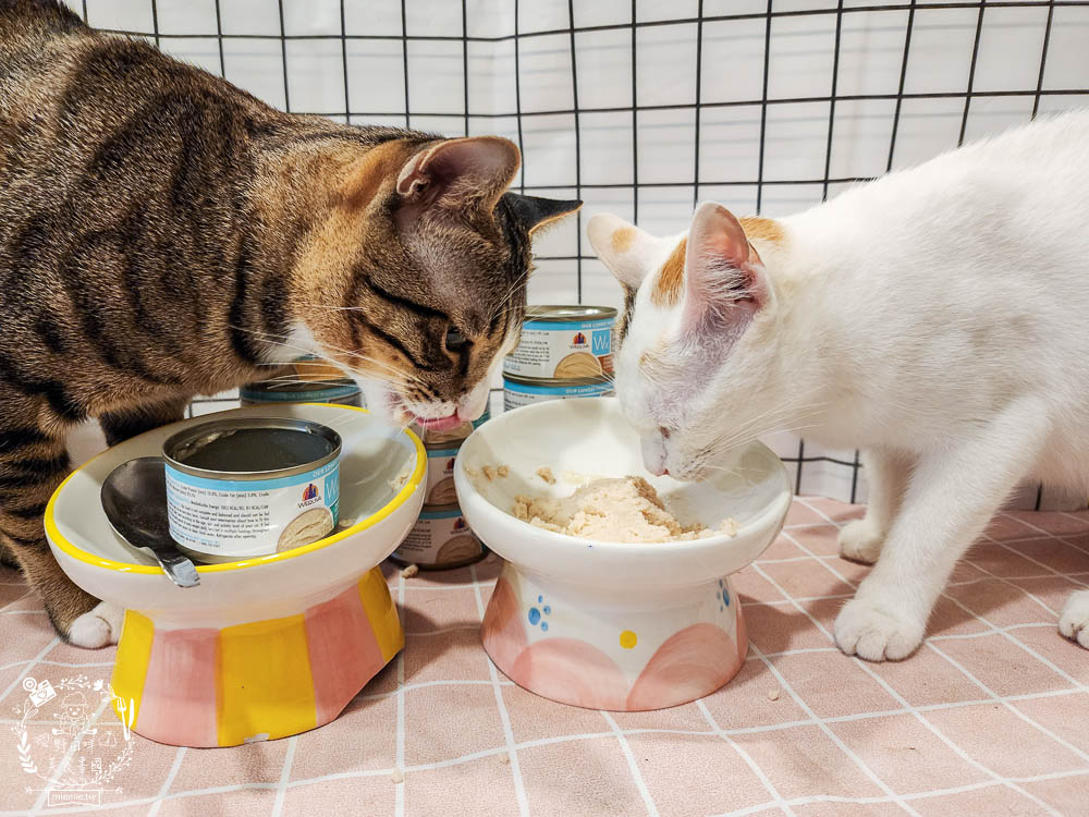 WERUVA唯美味[Wx超低磷貓罐]腎貓罐頭推薦!53mg/100大卡磷含量AAFCO最低標準減少20%