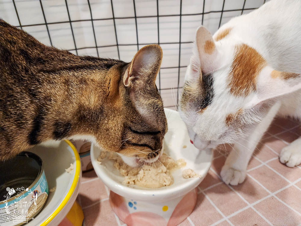 WERUVA唯美味[Wx超低磷貓罐]腎貓罐頭推薦!53mg/100大卡磷含量AAFCO最低標準減少20%