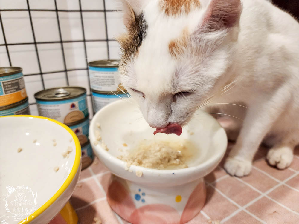 WERUVA唯美味[Wx超低磷貓罐]腎貓罐頭推薦!53mg/100大卡磷含量AAFCO最低標準減少20%