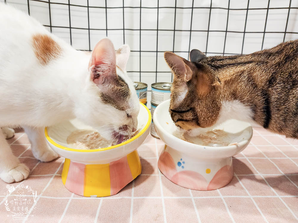 WERUVA唯美味[Wx超低磷貓罐]腎貓罐頭推薦!53mg/100大卡磷含量AAFCO最低標準減少20%