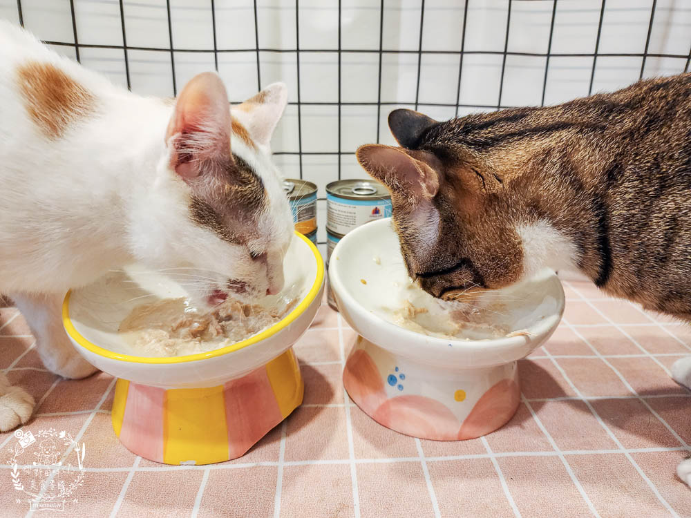 WERUVA唯美味[Wx超低磷貓罐]腎貓罐頭推薦!53mg/100大卡磷含量AAFCO最低標準減少20%