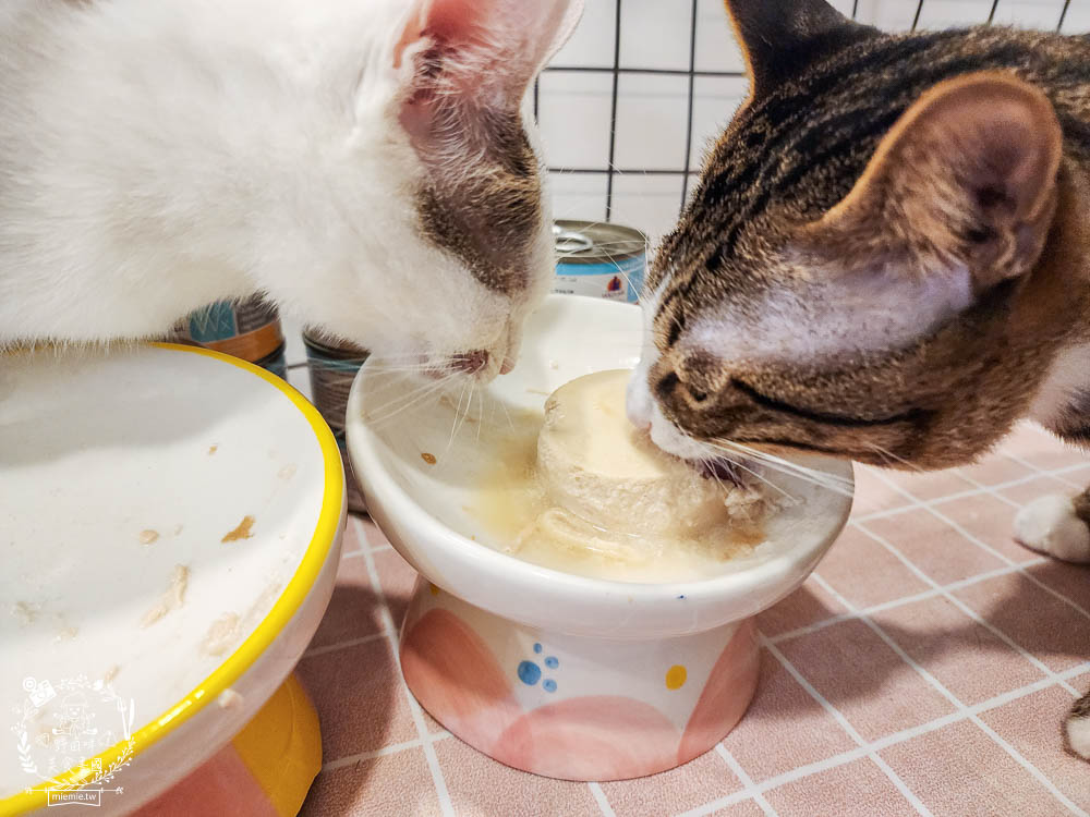 WERUVA唯美味[Wx超低磷貓罐]腎貓罐頭推薦!53mg/100大卡磷含量AAFCO最低標準減少20%