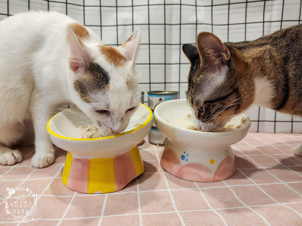 WERUVA唯美味[Wx超低磷貓罐]腎貓罐頭推薦!53mg/100大卡磷含量AAFCO最低標準減少20%