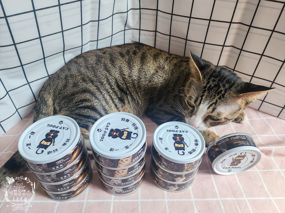 貓侍Catpool升級版低敏食材天然主食罐 34