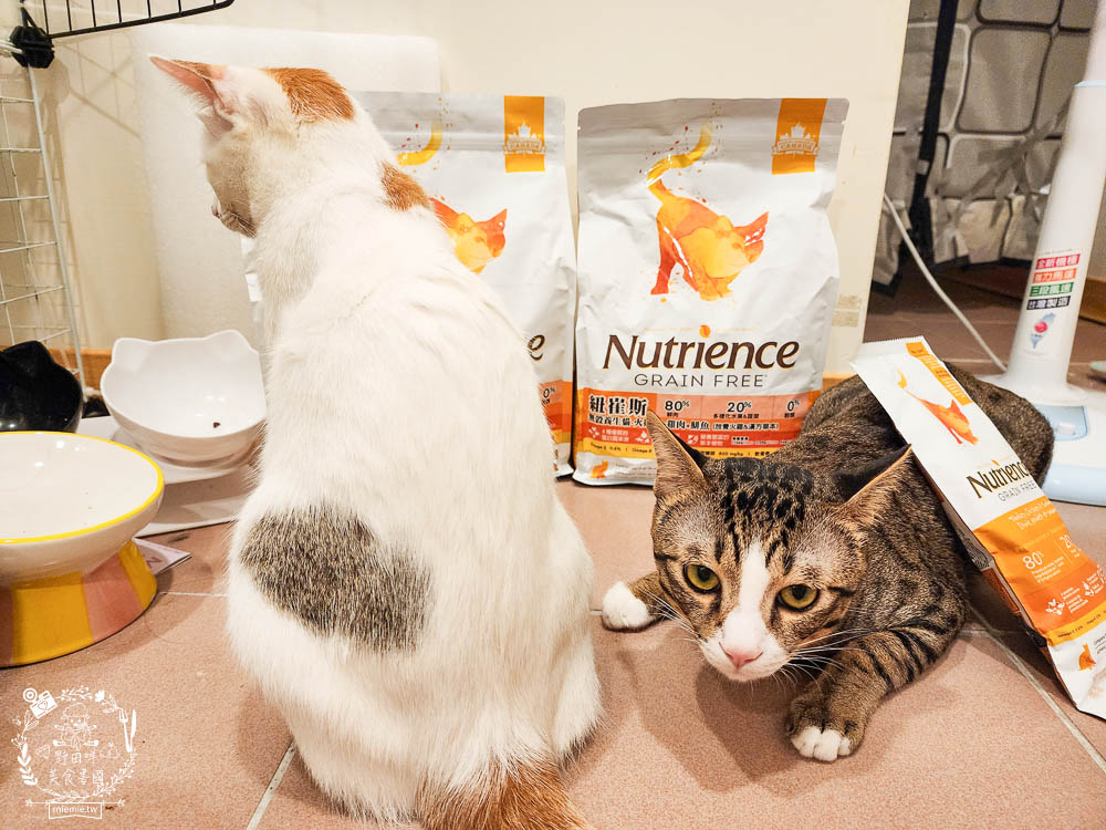2024飼料推薦八犬寵物Nutrience紐崔斯無穀養生飼料評價!低升糖貓飼料開箱! - 第5張圖 2024飼料推薦八犬寵物Nutrience紐崔斯無穀養生飼料評價!低升糖貓飼料開箱!