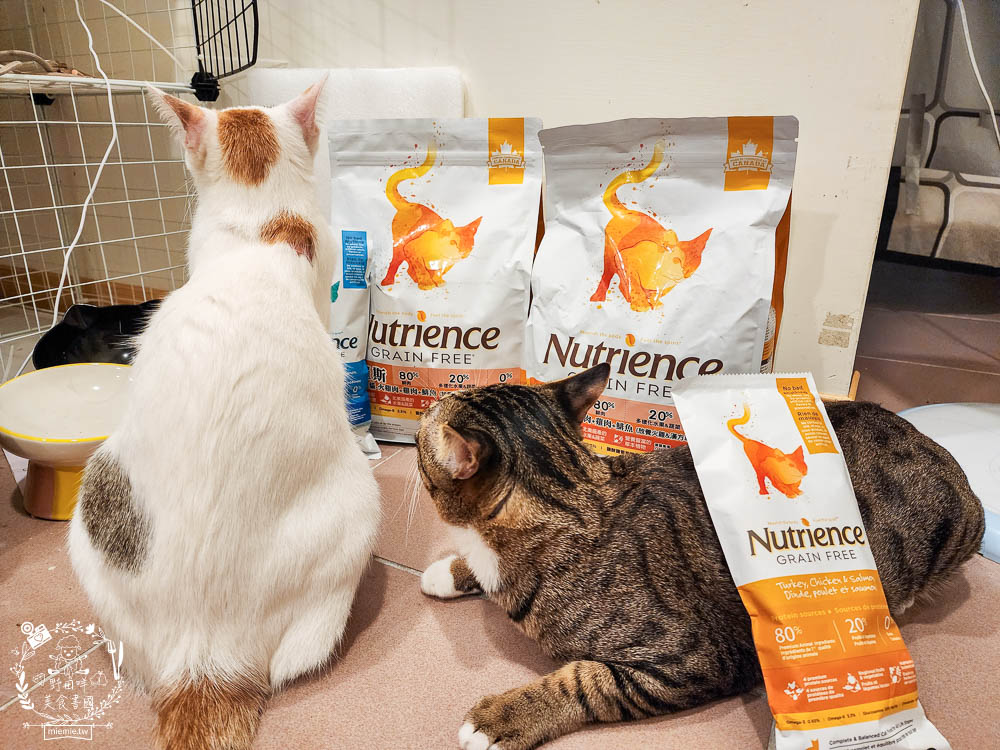 2024飼料推薦八犬寵物Nutrience紐崔斯無穀養生飼料評價!低升糖貓飼料開箱! - 第6張圖 2024飼料推薦八犬寵物Nutrience紐崔斯無穀養生飼料評價!低升糖貓飼料開箱!