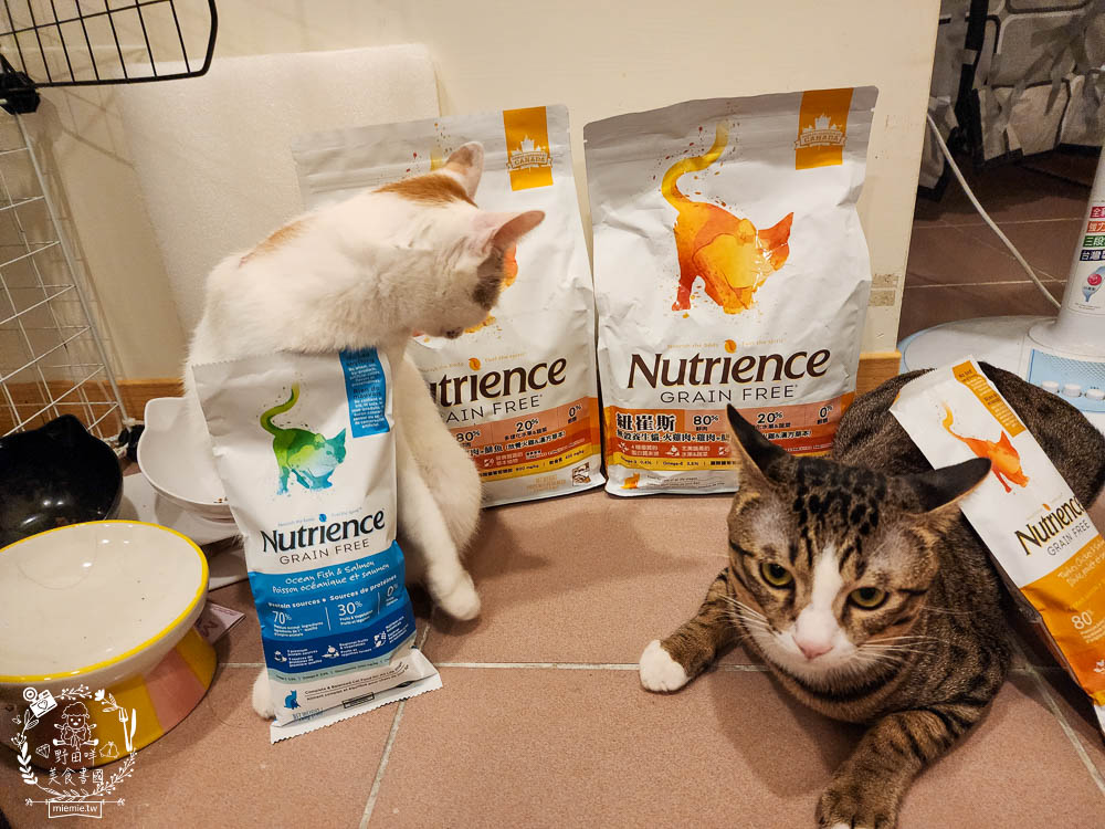 2024飼料推薦八犬寵物Nutrience紐崔斯無穀養生飼料評價!低升糖貓飼料開箱! - 第21張圖 2024飼料推薦八犬寵物Nutrience紐崔斯無穀養生飼料評價!低升糖貓飼料開箱!
