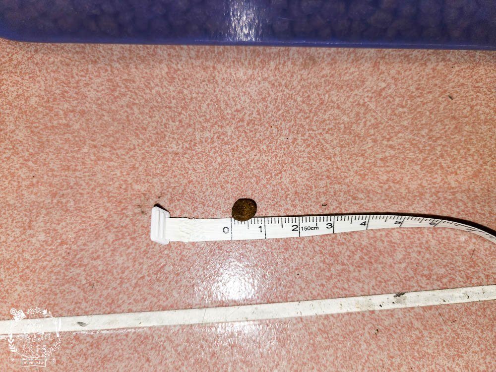 2024飼料推薦八犬寵物Nutrience紐崔斯無穀養生飼料評價!低升糖貓飼料開箱! - 第10張圖 2024飼料推薦八犬寵物Nutrience紐崔斯無穀養生飼料評價!低升糖貓飼料開箱!