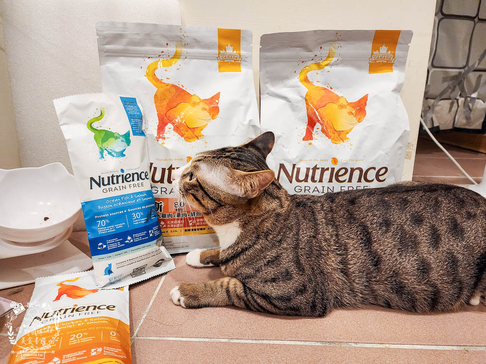2024飼料推薦八犬寵物Nutrience紐崔斯無穀養生飼料評價!低升糖貓飼料開箱! - 第4張圖 2024飼料推薦八犬寵物Nutrience紐崔斯無穀養生飼料評價!低升糖貓飼料開箱!