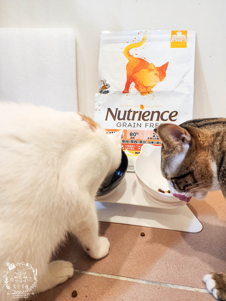 2024飼料推薦八犬寵物Nutrience紐崔斯無穀養生飼料評價!低升糖貓飼料開箱! - 第12張圖 2024飼料推薦八犬寵物Nutrience紐崔斯無穀養生飼料評價!低升糖貓飼料開箱!