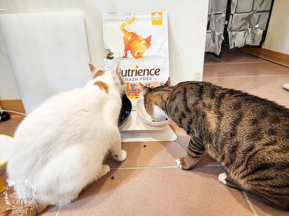 2024飼料推薦八犬寵物Nutrience紐崔斯無穀養生飼料評價!低升糖貓飼料開箱! - 第19張圖 2024飼料推薦八犬寵物Nutrience紐崔斯無穀養生飼料評價!低升糖貓飼料開箱!