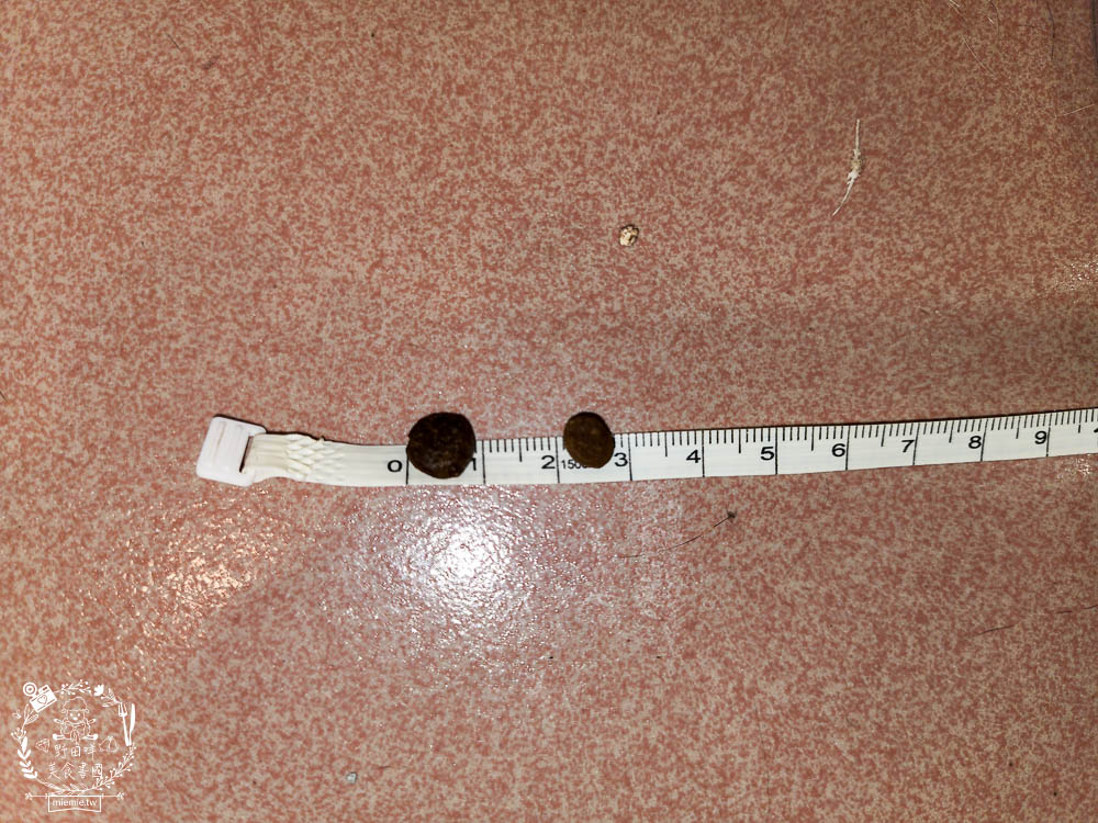 2024飼料推薦八犬寵物Nutrience紐崔斯無穀養生飼料評價!低升糖貓飼料開箱! - 第16張圖 2024飼料推薦八犬寵物Nutrience紐崔斯無穀養生飼料評價!低升糖貓飼料開箱!