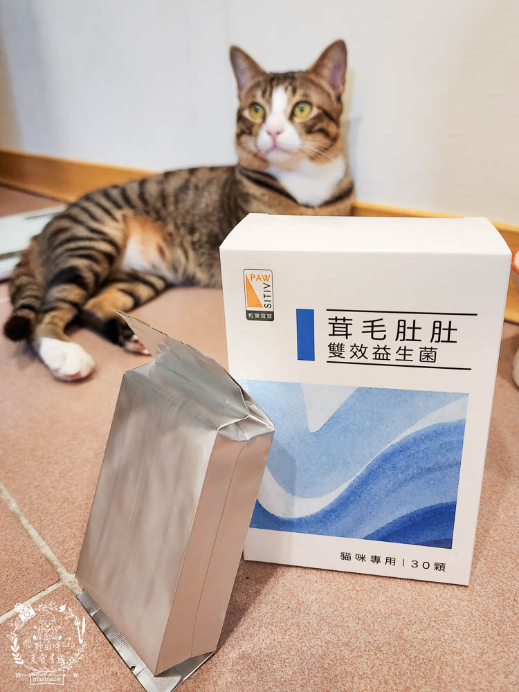 貓咪益生菌開箱|和樂茸茸Pawsitive茸毛肚肚雙效益生菌|貓咪保健品牌分享|一顆抵四瓶補足貓咪每日胺基酸!