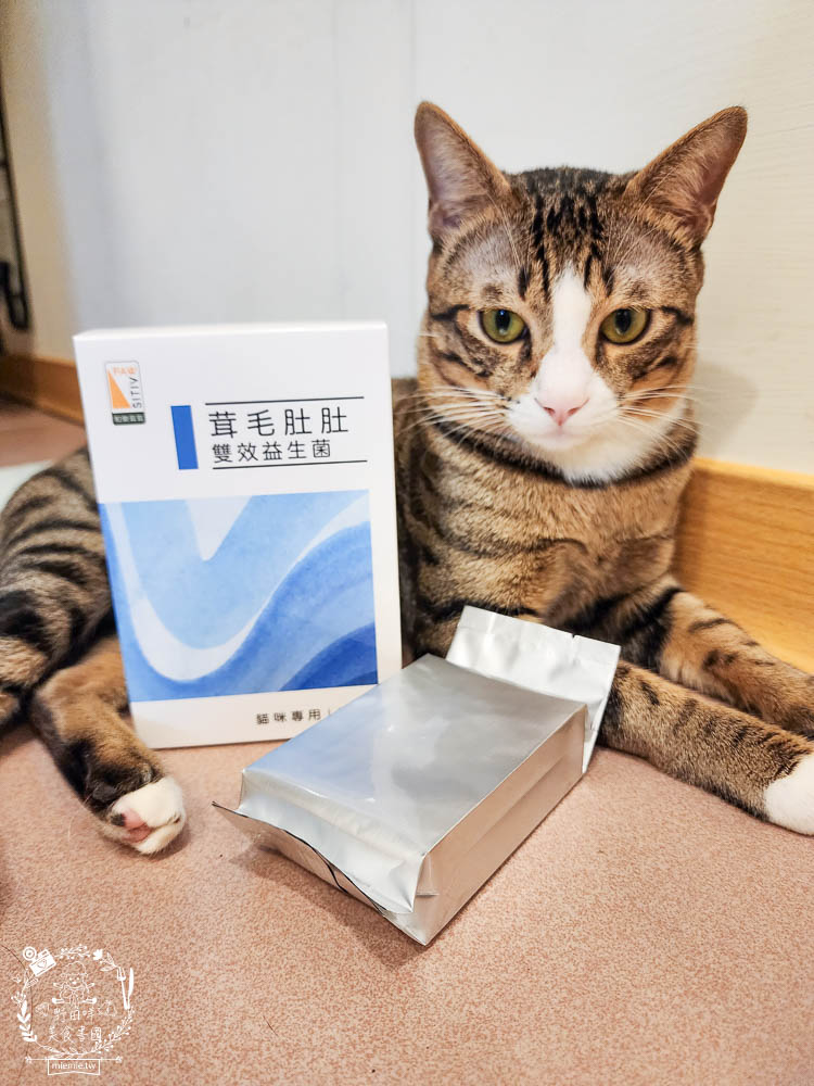 貓咪益生菌開箱|和樂茸茸Pawsitive茸毛肚肚雙效益生菌|貓咪保健品牌分享|一顆抵四瓶補足貓咪每日胺基酸!