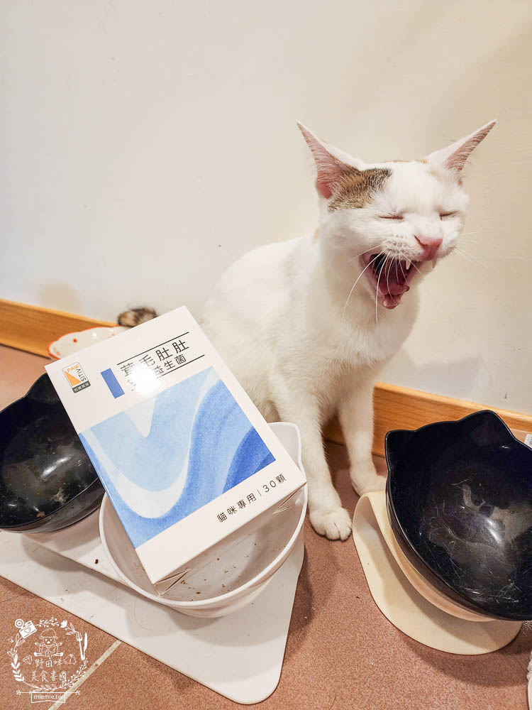 貓咪益生菌開箱|和樂茸茸Pawsitive茸毛肚肚雙效益生菌|貓咪保健品牌分享|一顆抵四瓶補足貓咪每日胺基酸!