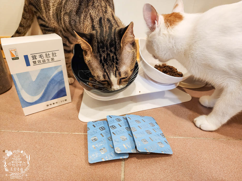 貓咪益生菌開箱|和樂茸茸Pawsitive茸毛肚肚雙效益生菌|貓咪保健品牌分享|一顆抵四瓶補足貓咪每日胺基酸!