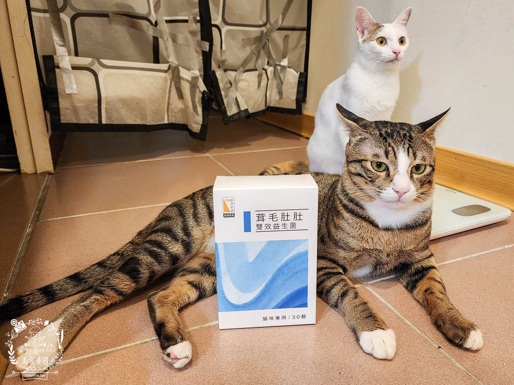 貓咪益生菌開箱|和樂茸茸Pawsitive茸毛肚肚雙效益生菌|貓咪保健品牌分享|一顆抵四瓶補足貓咪每日胺基酸!