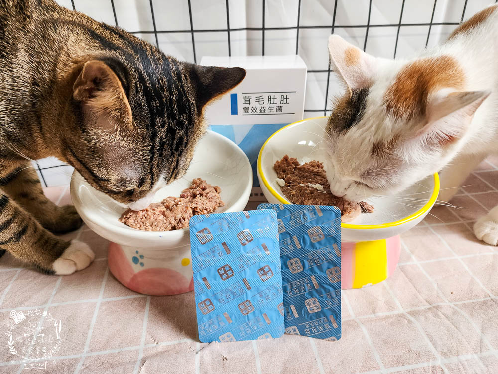 貓咪益生菌開箱|和樂茸茸Pawsitive茸毛肚肚雙效益生菌|貓咪保健品牌分享|一顆抵四瓶補足貓咪每日胺基酸!