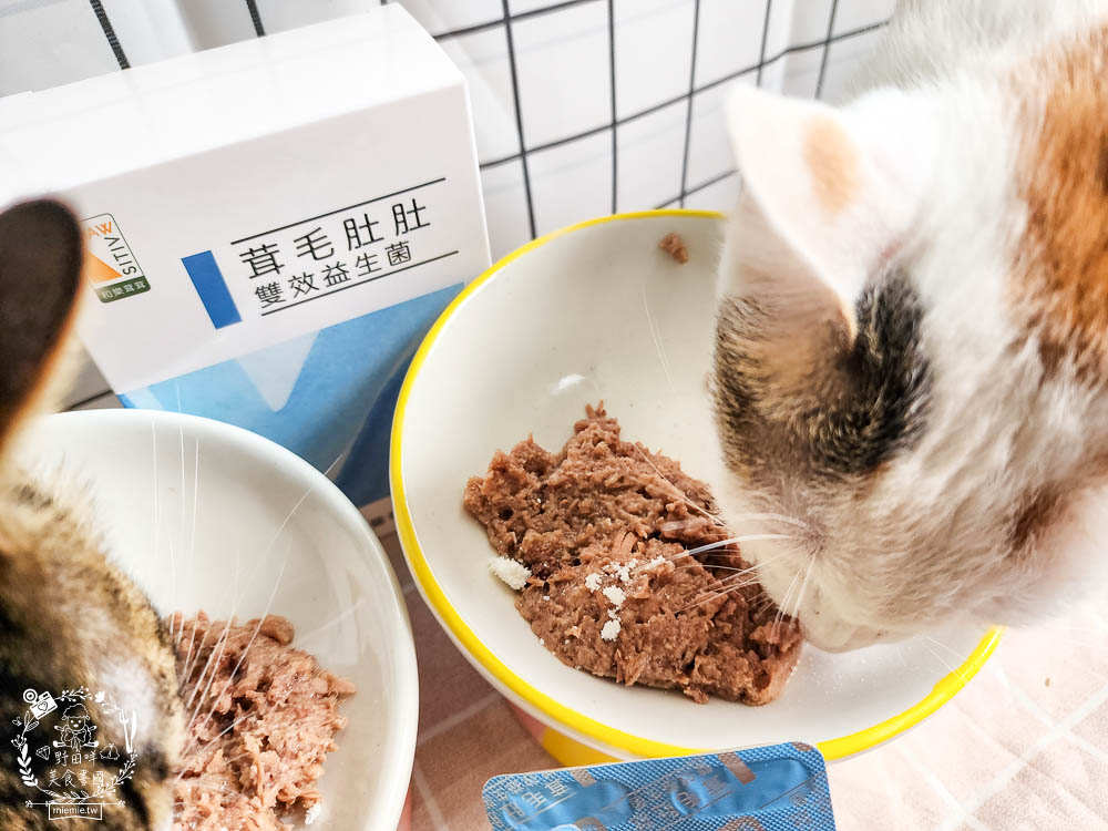 貓咪益生菌開箱|和樂茸茸Pawsitive茸毛肚肚雙效益生菌|貓咪保健品牌分享|一顆抵四瓶補足貓咪每日胺基酸!