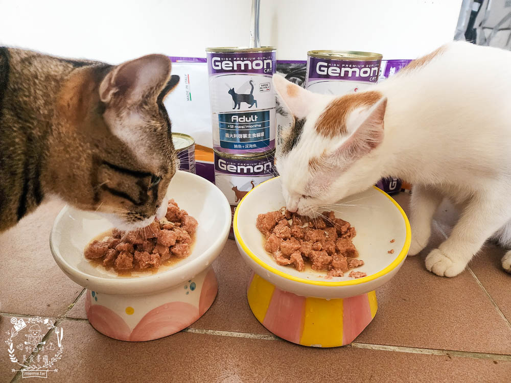 2024寵物糧推薦[品果國際義大利啟蒙寵糧低敏配方寵物飼料開箱]低塩低鎂含量有助保護腎臟功能健康!主食罐與餐包適口性很好!
