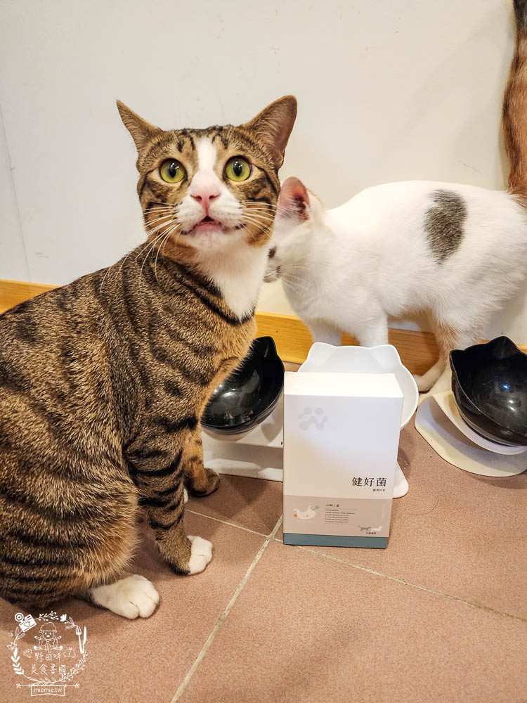 紐促康Nuforcare健好菌｜複合性益生菌的毛孩腸胃保健!由專業獸醫師、營養師共同研發，還經SGS認證、100%台灣製造