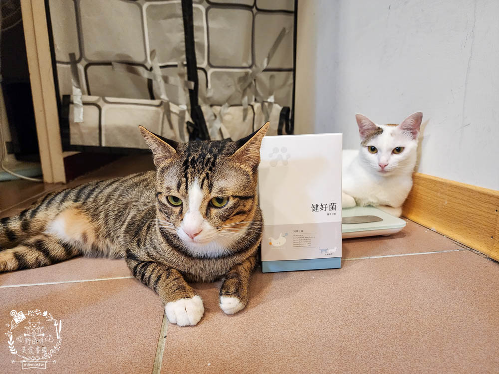 紐促康Nuforcare健好菌｜複合性益生菌的毛孩腸胃保健!由專業獸醫師、營養師共同研發，還經SGS認證、100%台灣製造