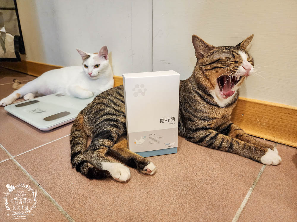 紐促康Nuforcare健好菌｜複合性益生菌的毛孩腸胃保健!由專業獸醫師、營養師共同研發，還經SGS認證、100%台灣製造