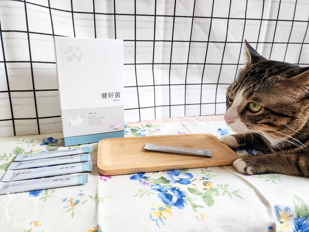 紐促康Nuforcare健好菌｜複合性益生菌的毛孩腸胃保健!由專業獸醫師、營養師共同研發，還經SGS認證、100%台灣製造