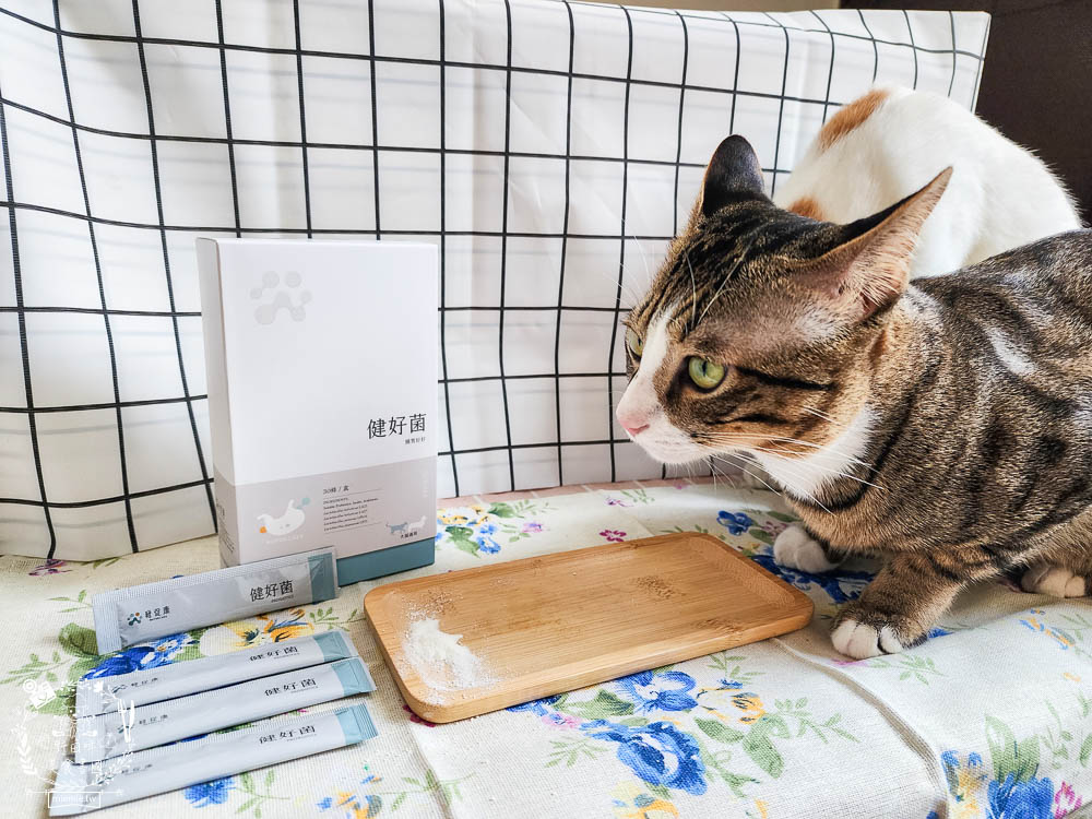 紐促康Nuforcare健好菌｜複合性益生菌的毛孩腸胃保健!由專業獸醫師、營養師共同研發，還經SGS認證、100%台灣製造